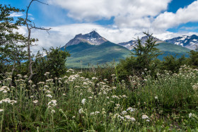 Parque Nacional Torre del Paine