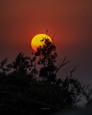 Pôr do Sol 256641