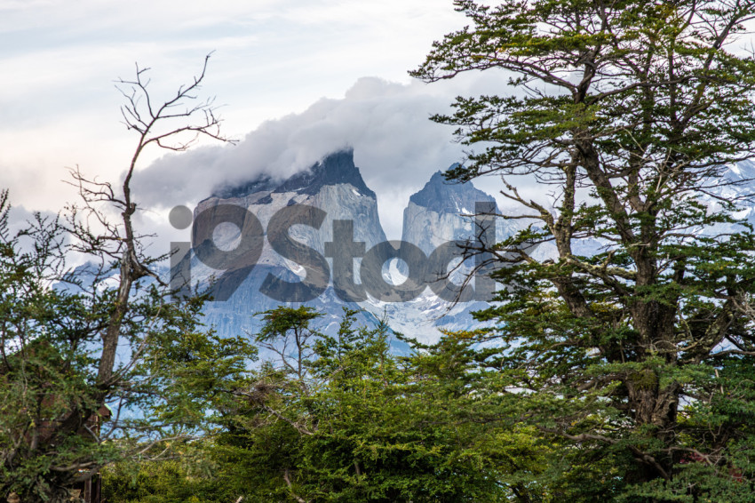 Torre los Cuernos