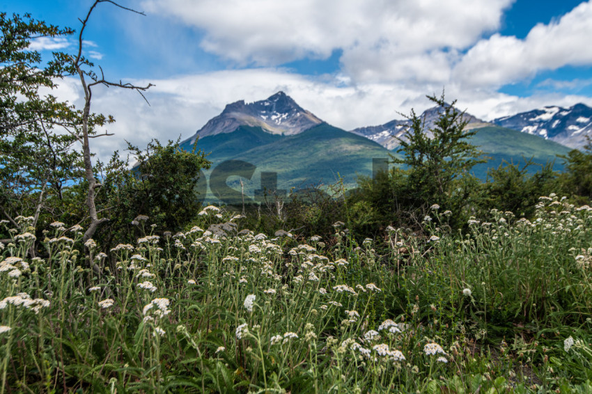 Parque Nacional Torre del Paine