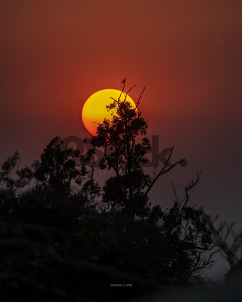 Pôr do Sol 256641